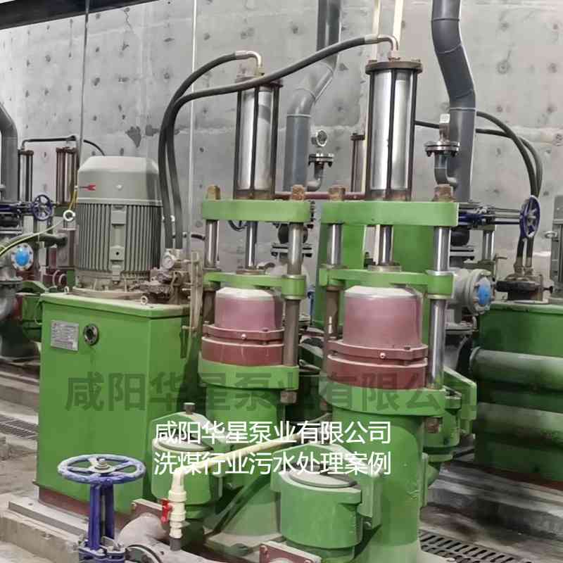 洗煤廠使用華星YBH300壓濾機(jī)專用入料泵